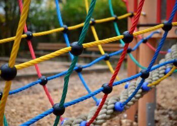 zdjęcie ilustracyjne/Pixabay