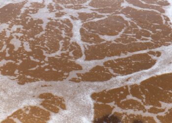 zdjęcie ilustracyjne/Pixabay