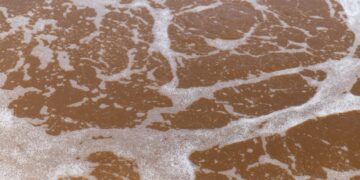 zdjęcie ilustracyjne/Pixabay