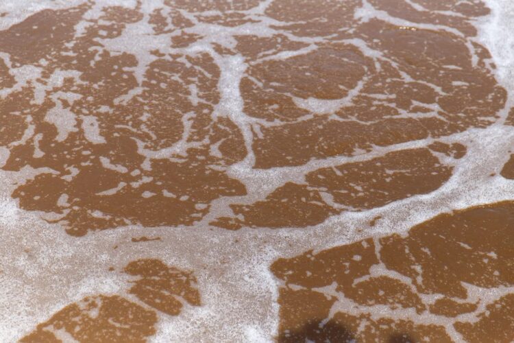 zdjęcie ilustracyjne/Pixabay