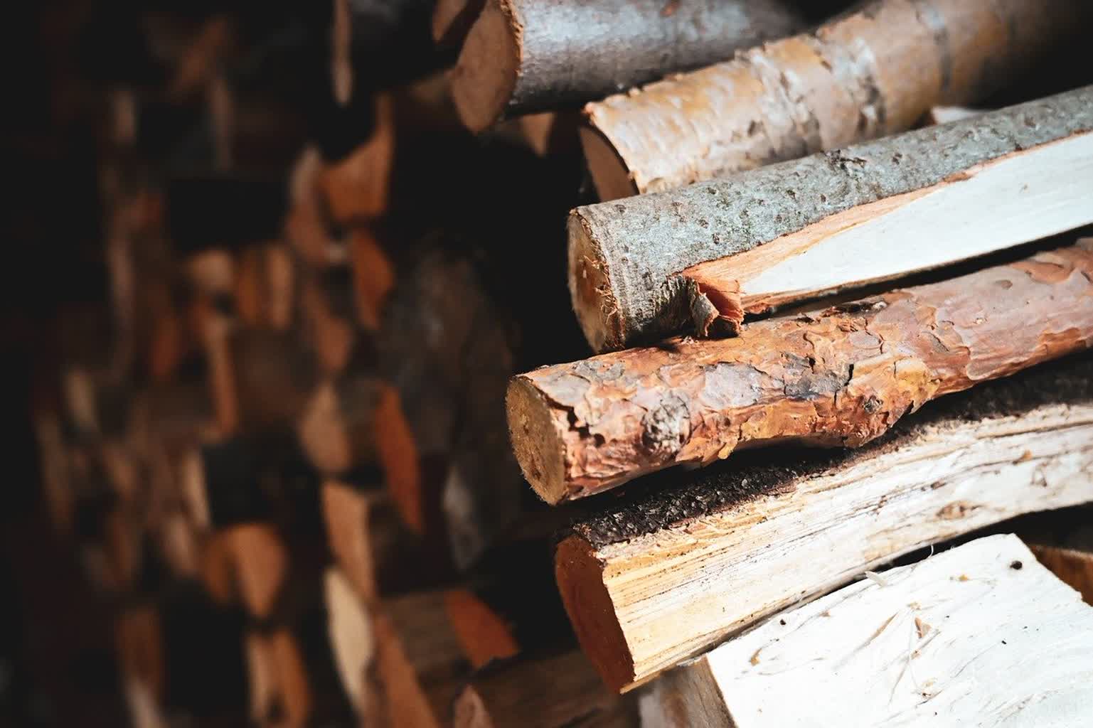 Drewno opałowe od Lasów Państwowych