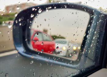 zdjęcie ilustracyjne/Pixabay