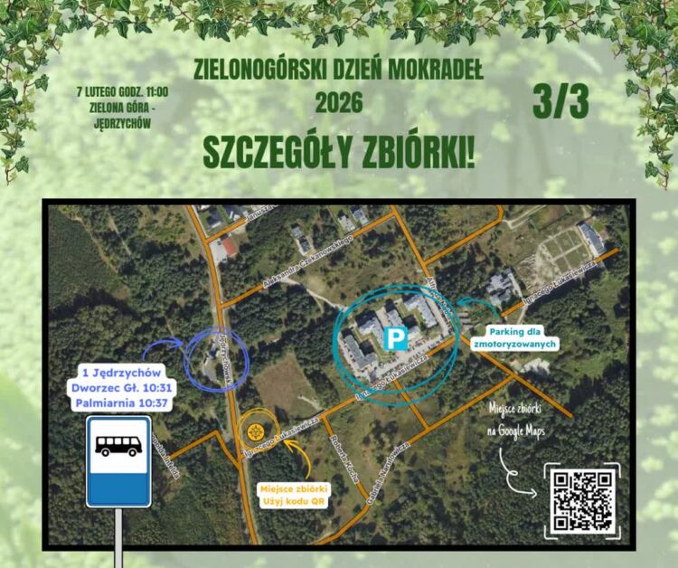 fot. Materiał Organizatora