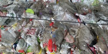 fot. Aurelia Adaszyńska