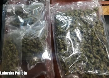 fot. Lubuska Policja