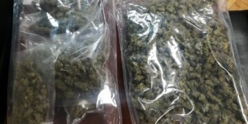 fot. Lubuska Policja