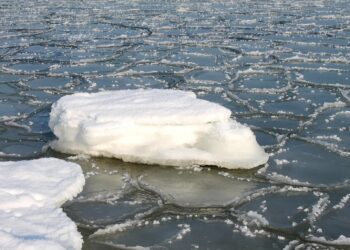 zdjęcie ilustracyjne, Pixabay