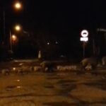 Publikacja za zgodą autora