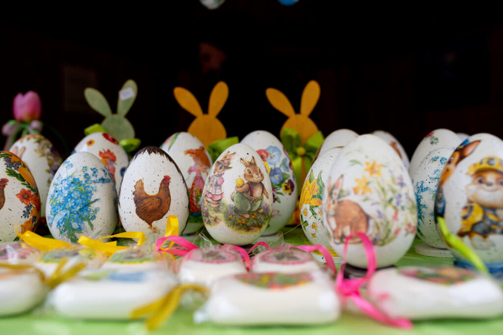 fot. Krzysztof Filmanowicz