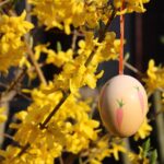 Zdjęcie ilustracyjne. Fot. Pixabay