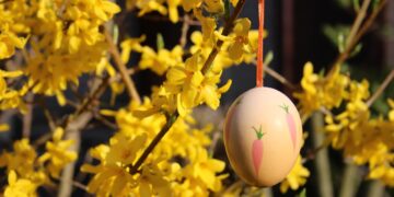 Zdjęcie ilustracyjne. Fot. Pixabay