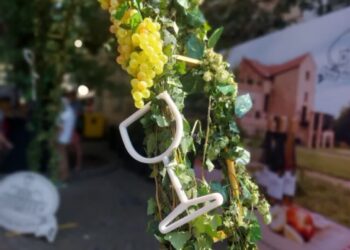 fot. Marta Czechowska