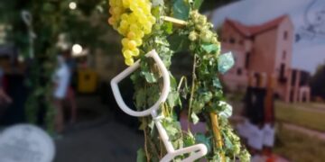 fot. Marta Czechowska