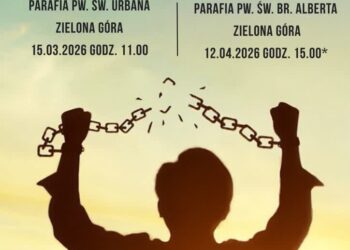 materiał organizatorów