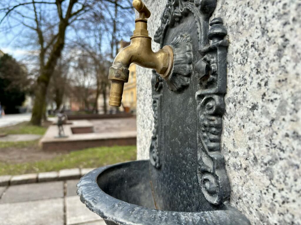 fot. Aurelia Adaszyńska