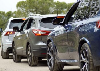 zdjęcie ilustracyjne/Pixabay