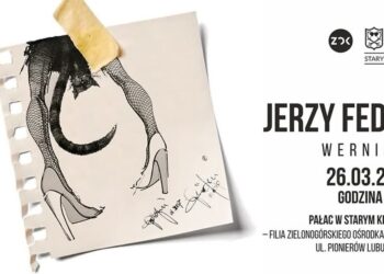 zdjęcie ilustracyjne/ZOK