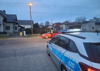 fot. KMP w Zielonej Górze