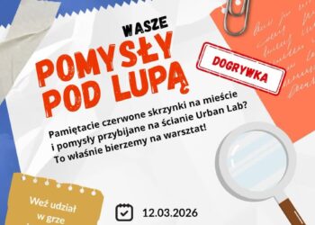 materiały organizatora