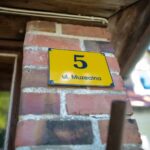 fot. Krzysztof Filmanowicz