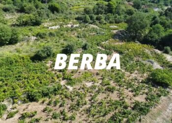 fot. Bartosz Schaefer