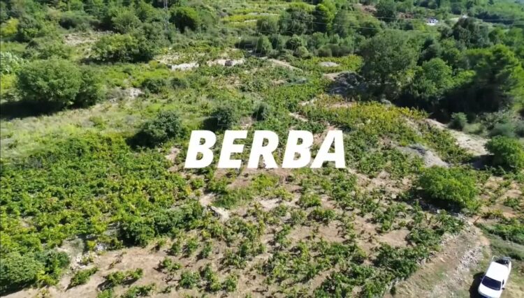 fot. Bartosz Schaefer