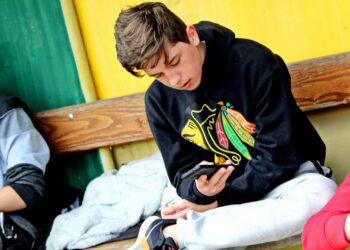 zdjęcie ilustracyjne/Pixabay