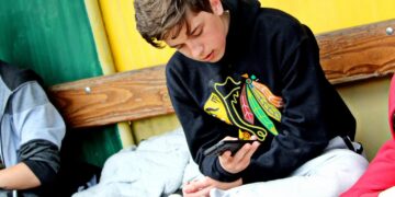 zdjęcie ilustracyjne/Pixabay