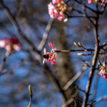 Fot. Krzysztof Filmanowicz