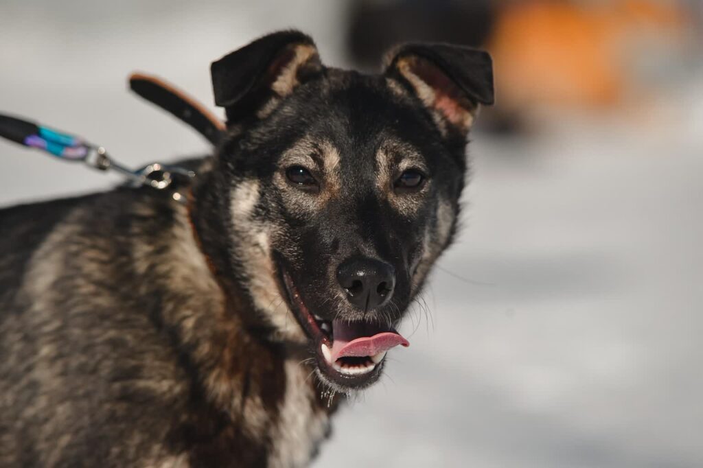 zdjęcie ilustracyjne/Pixabay