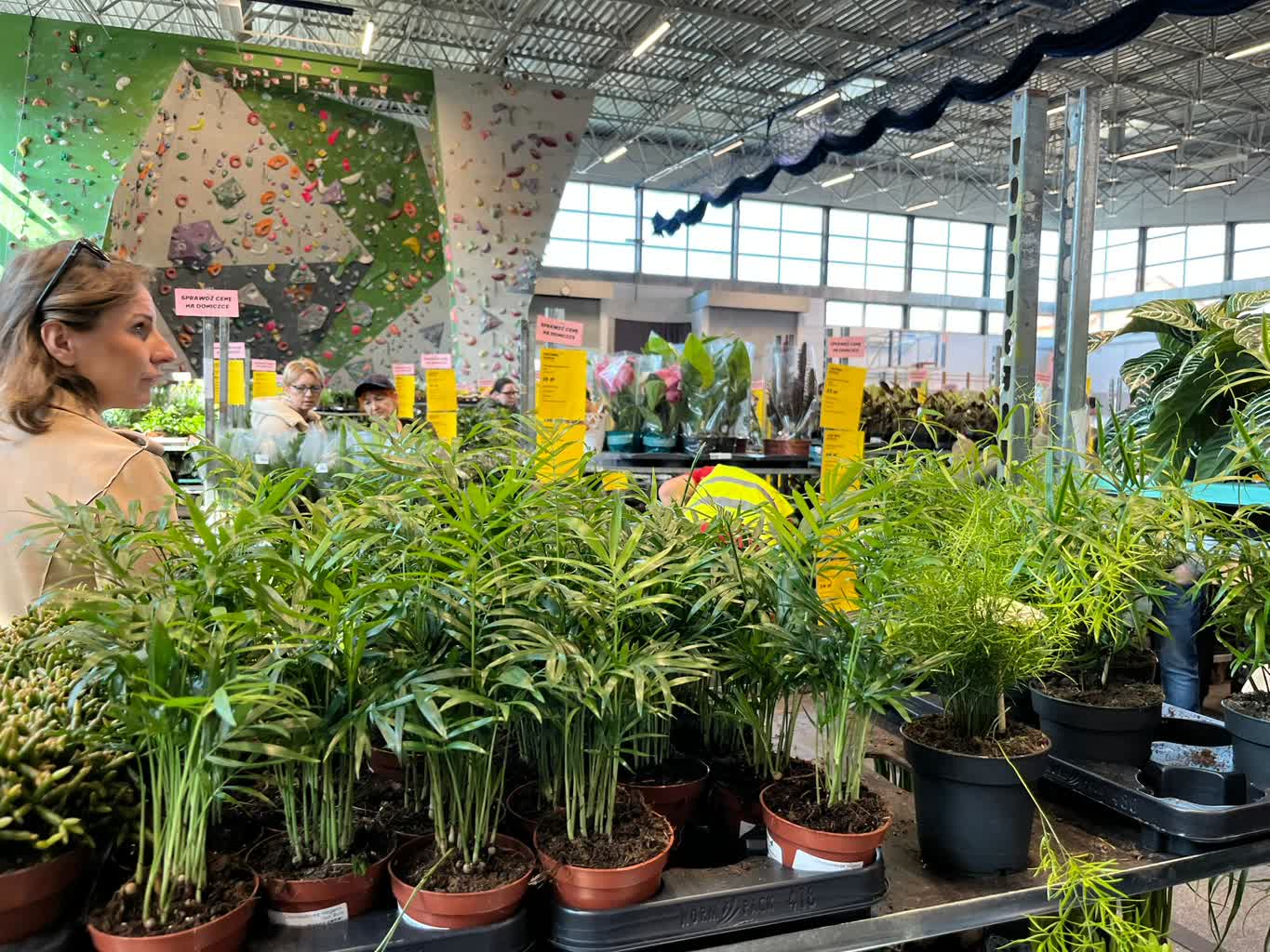 Trwa Festiwal Roślin w hali przy Urszuli