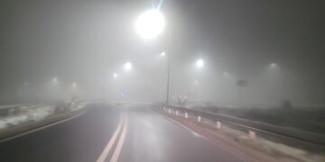 fot: KMP Zielona Góra