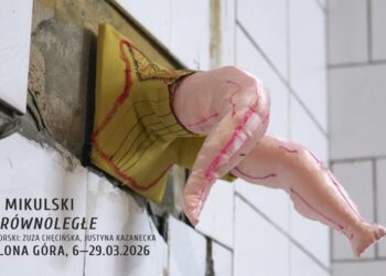 zdjęcie ilustracyjne/BWA Zielona Góra