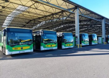 fot. Przemysław Kozubaj