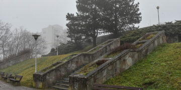 fot. Urząd Miasta Zielona Góra