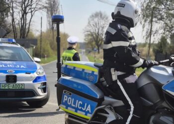 fot. KMP w Zielonej Górze