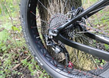 zdjęcie ilustracyjne/Pixabay