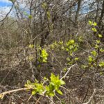 Fot. Jakub Mielcarz/arch. Fundacji Tłocznia