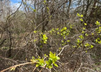 Fot. Jakub Mielcarz/arch. Fundacji Tłocznia