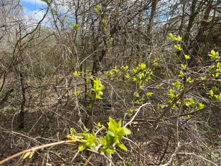 Fot. Jakub Mielcarz/arch. Fundacji Tłocznia