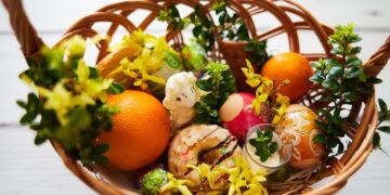 zdjęcie ilustracyjne/Pixabay