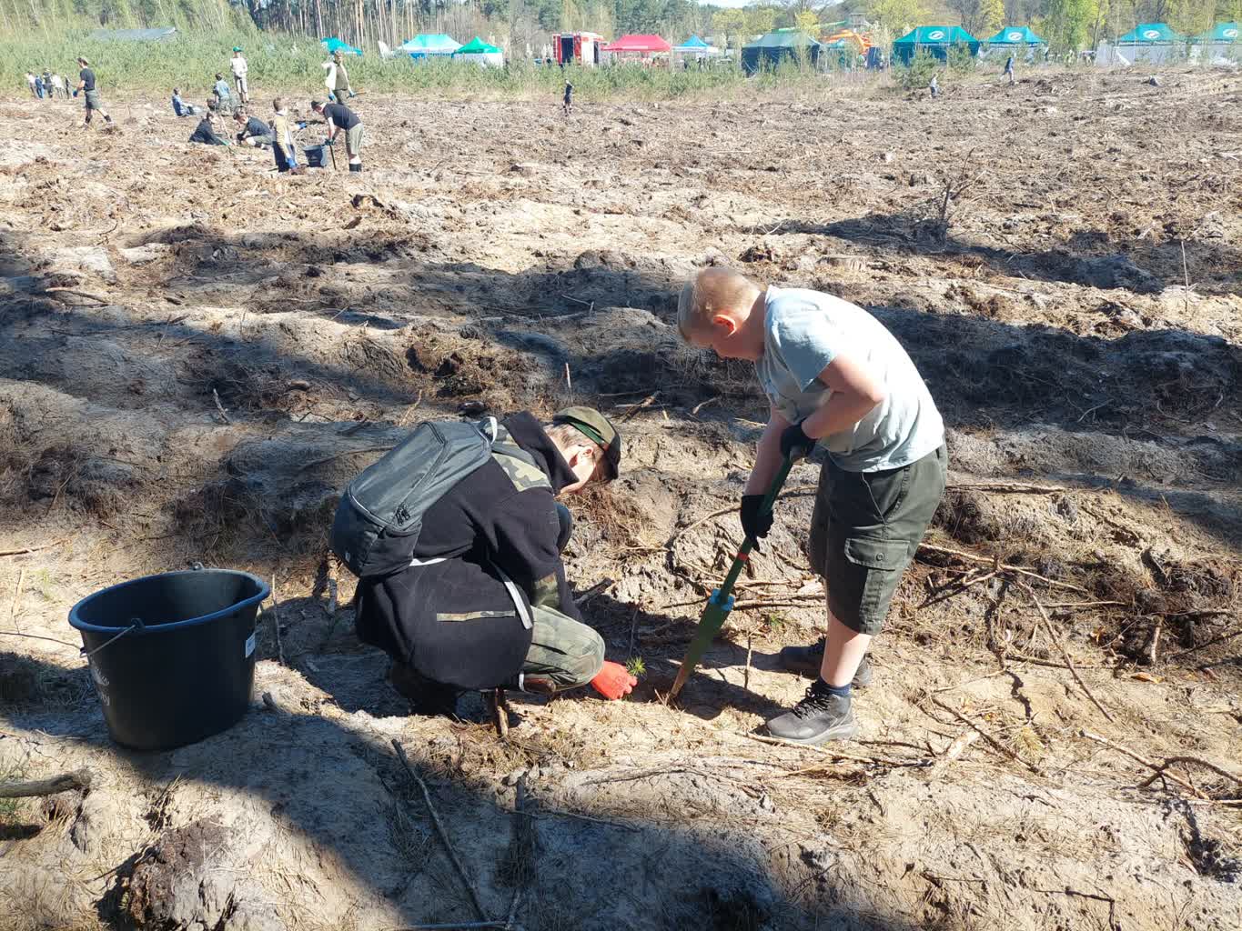 Zielonogórzanie sadzą las przy H2Ochli [ZDJĘCIA]