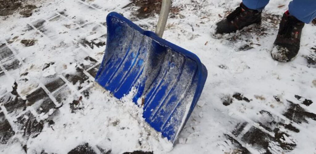 fot. Marta Czechowska