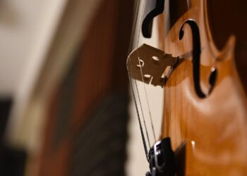 zdjęcie ilustracyjne/Pixabay