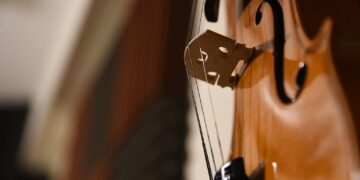 zdjęcie ilustracyjne/Pixabay