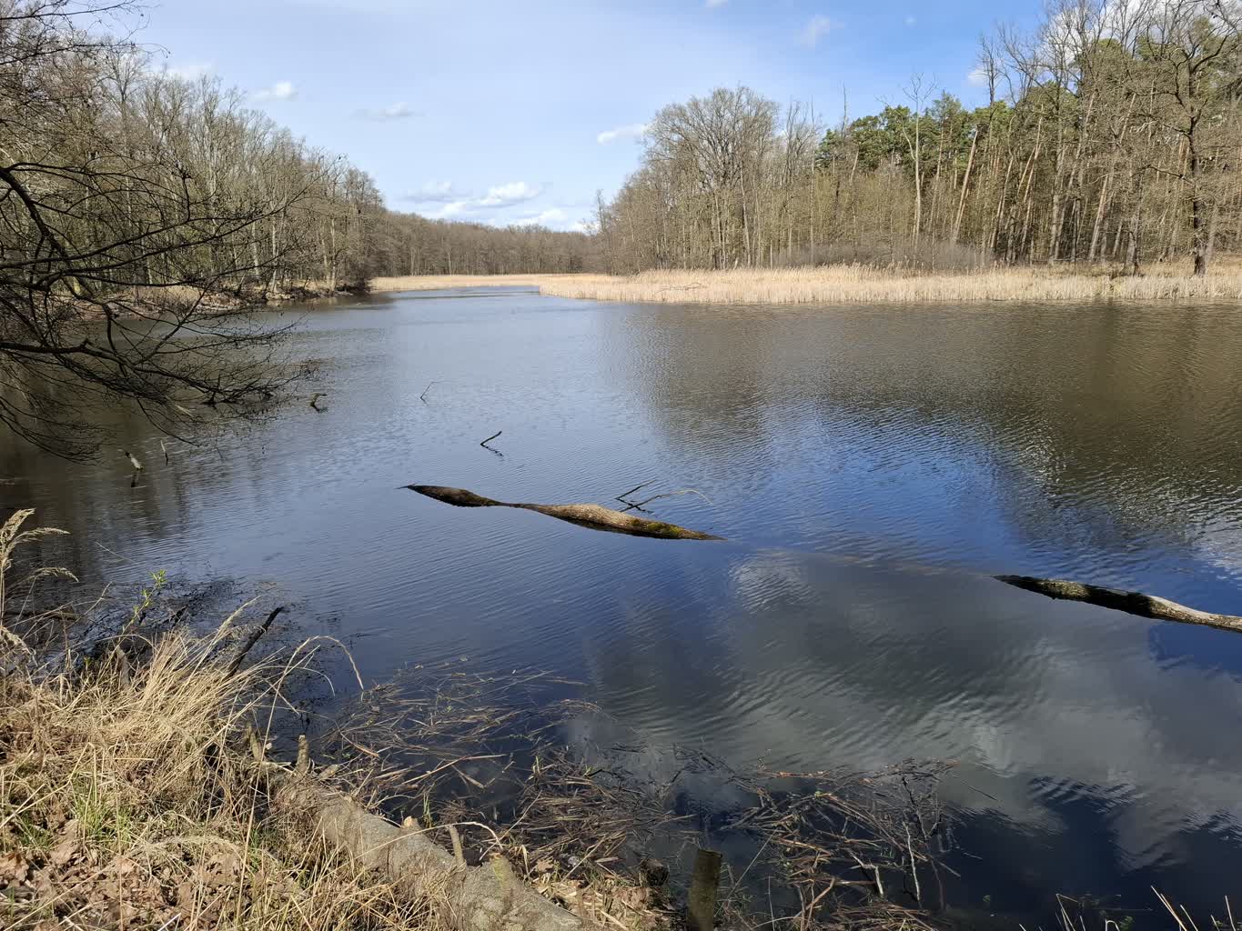 Świąteczne spacery po Lesie Odrzańskim
