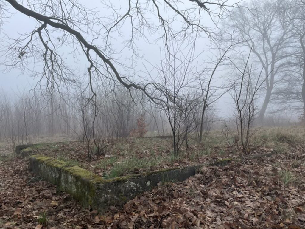 fot. Aurelia Adaszyńska