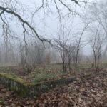 fot. Aurelia Adaszyńska