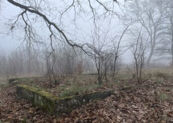 fot. Aurelia Adaszyńska