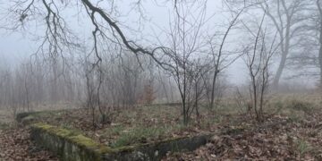 fot. Aurelia Adaszyńska